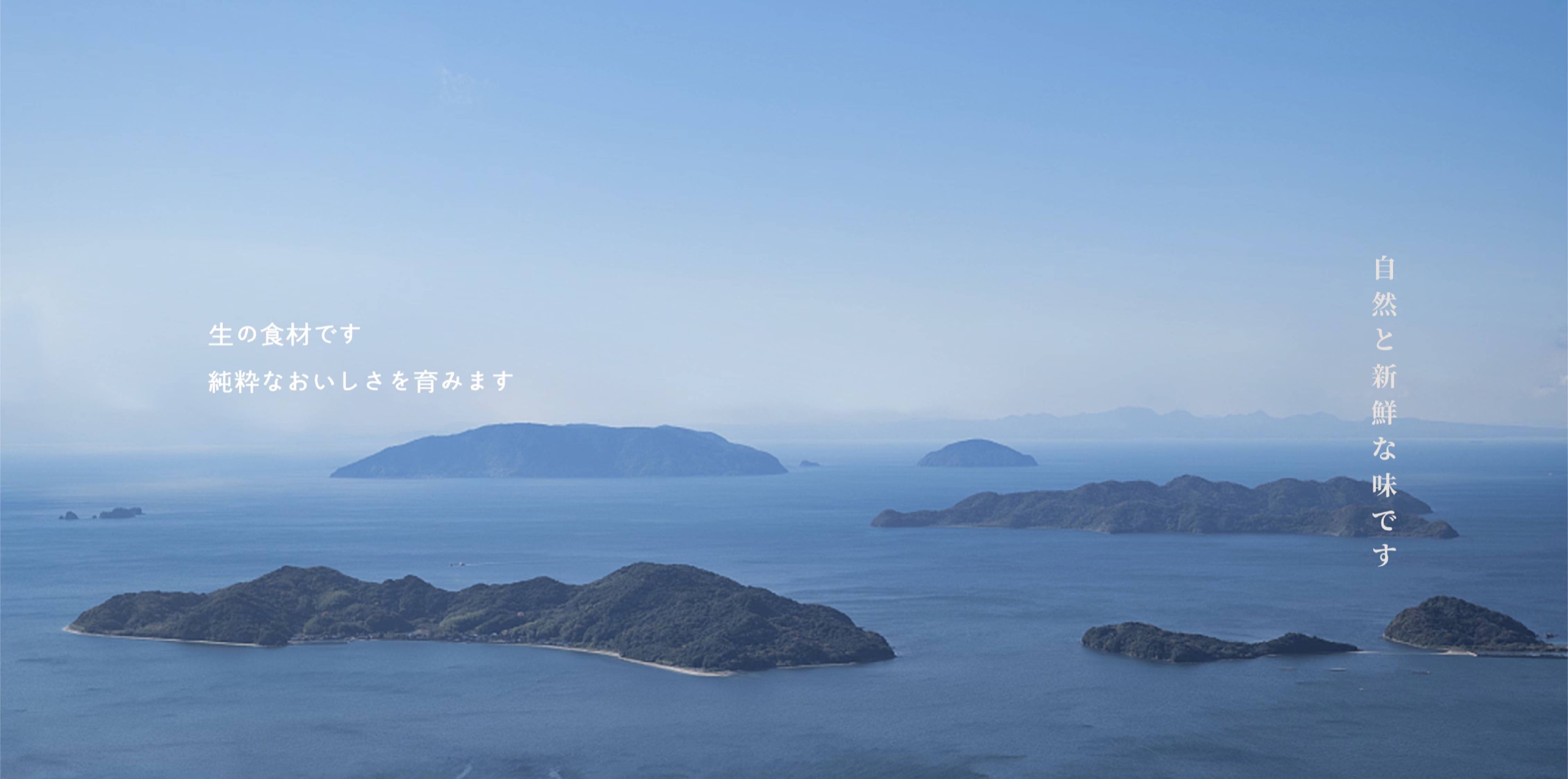 屿宴品牌视觉展示三